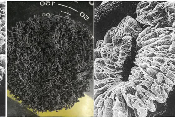 +100 メッシュ 高炭素拡張グラフィット