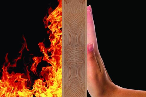 膨張比 270/g ミニ膨張可能なグラフィット粉末