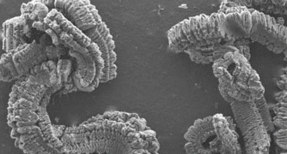 1%の灰の拡張できるグラファイトは1%の湿気200ml/G 80の網を粉にする